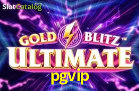 Programa VIP pgvip