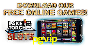 VIP Casino pgvip
