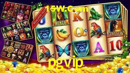 Promoção Relâmpago pgvip
