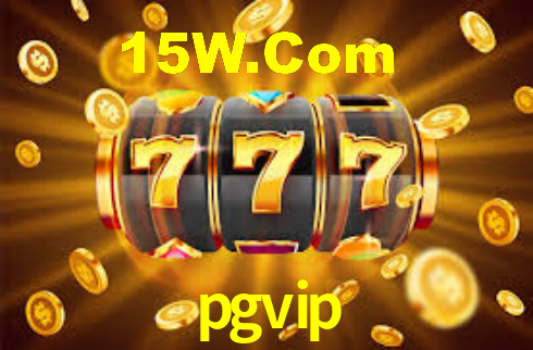 pgvip.com