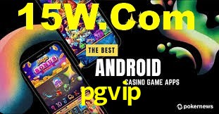 Premium Interface pgvip